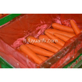Rifornimento diretto della fabbrica della carota degli ortaggi freschi